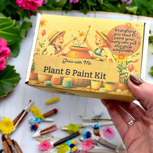 Fuschia Designs Shop - Paint, Plant & Grow DIY Kit with Clay Pot, Sunflower Seeds, Paint Brush, Paint, Soil