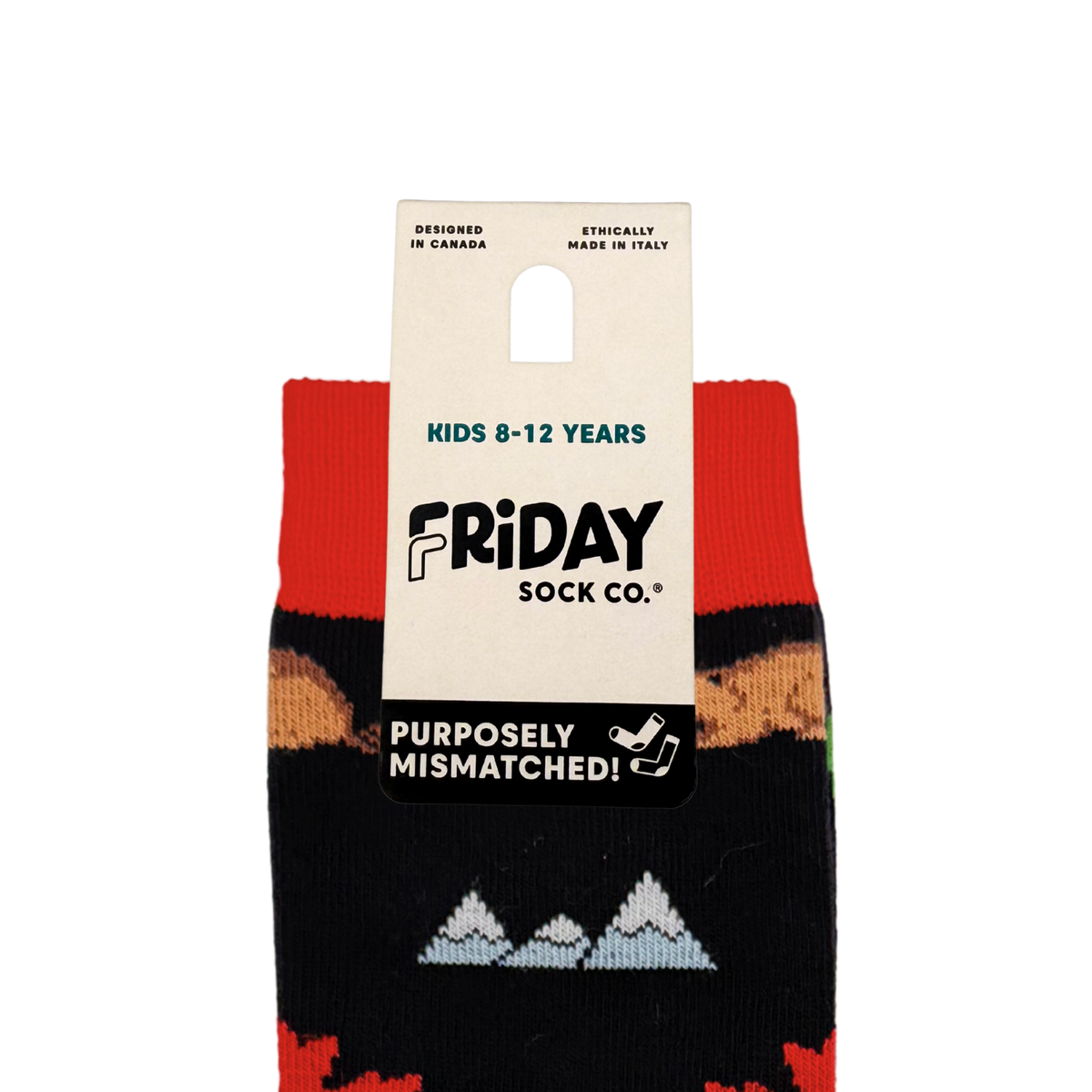 Friday Sock Co. - Kid's Canada Icons Crew Socks - Gender Neutral Gift: Large (Age 8-12)