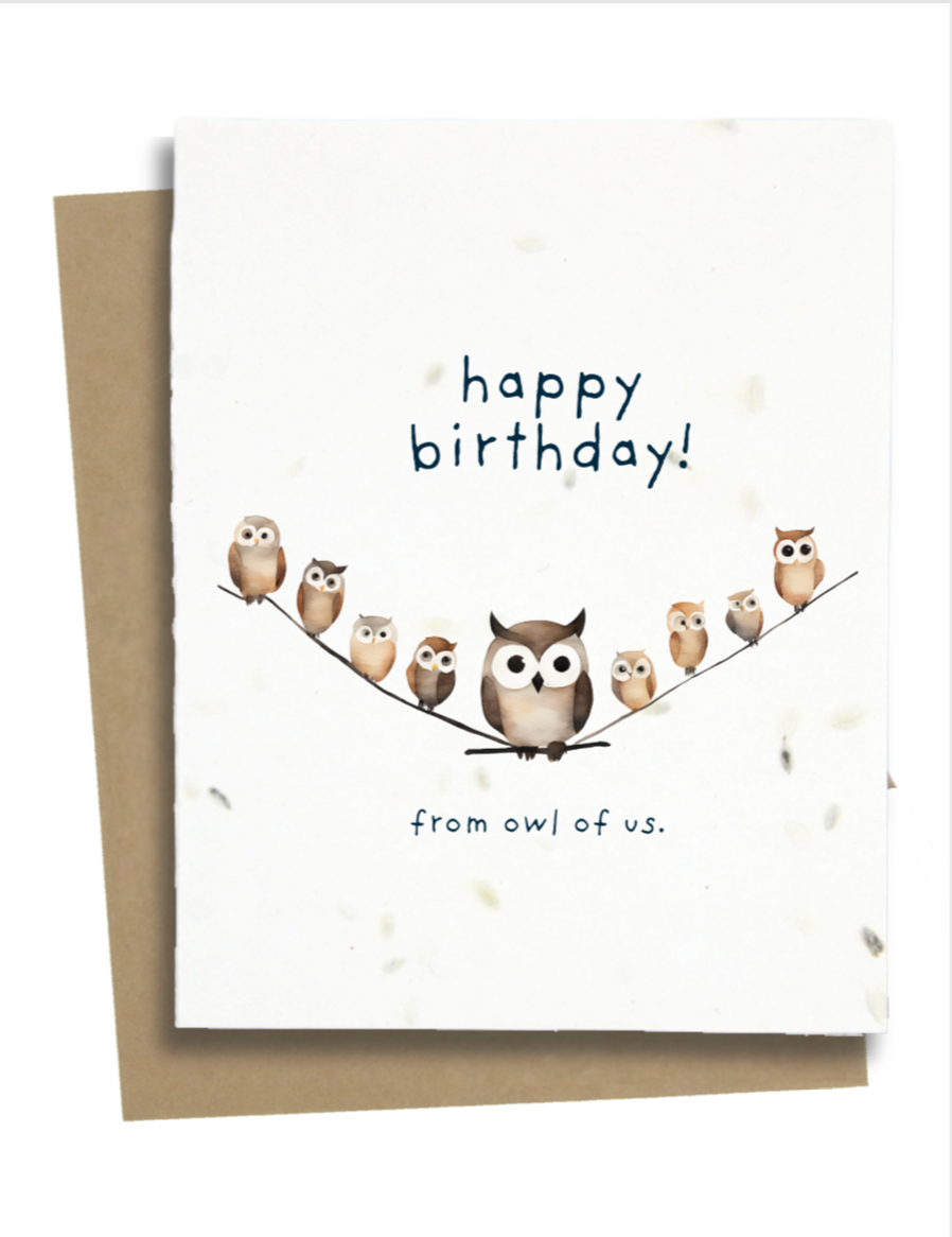 Greet n' Grow Plantable Cards - Punny Owl Birthday Card: Wildflower