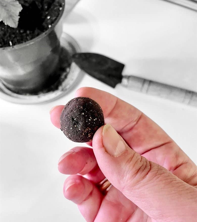 Fuschia Designs Shop - Seed Bombs - DIY Craft Kits