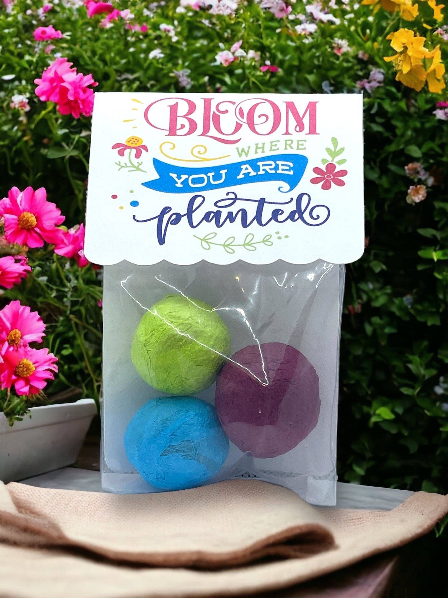 Fuschia Designs Shop - Seed Bombs - Canadian Wildflower - 3 seed bombs /pack