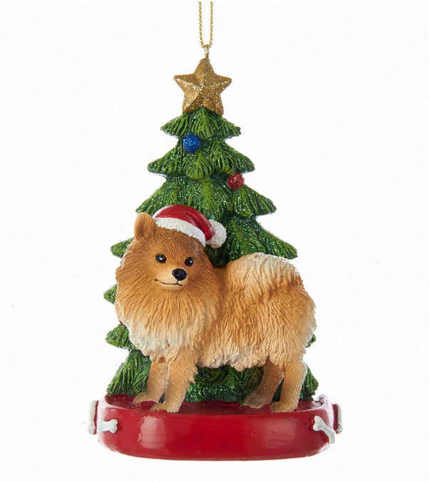 Pomeranian with Christmas Tree Ornament
