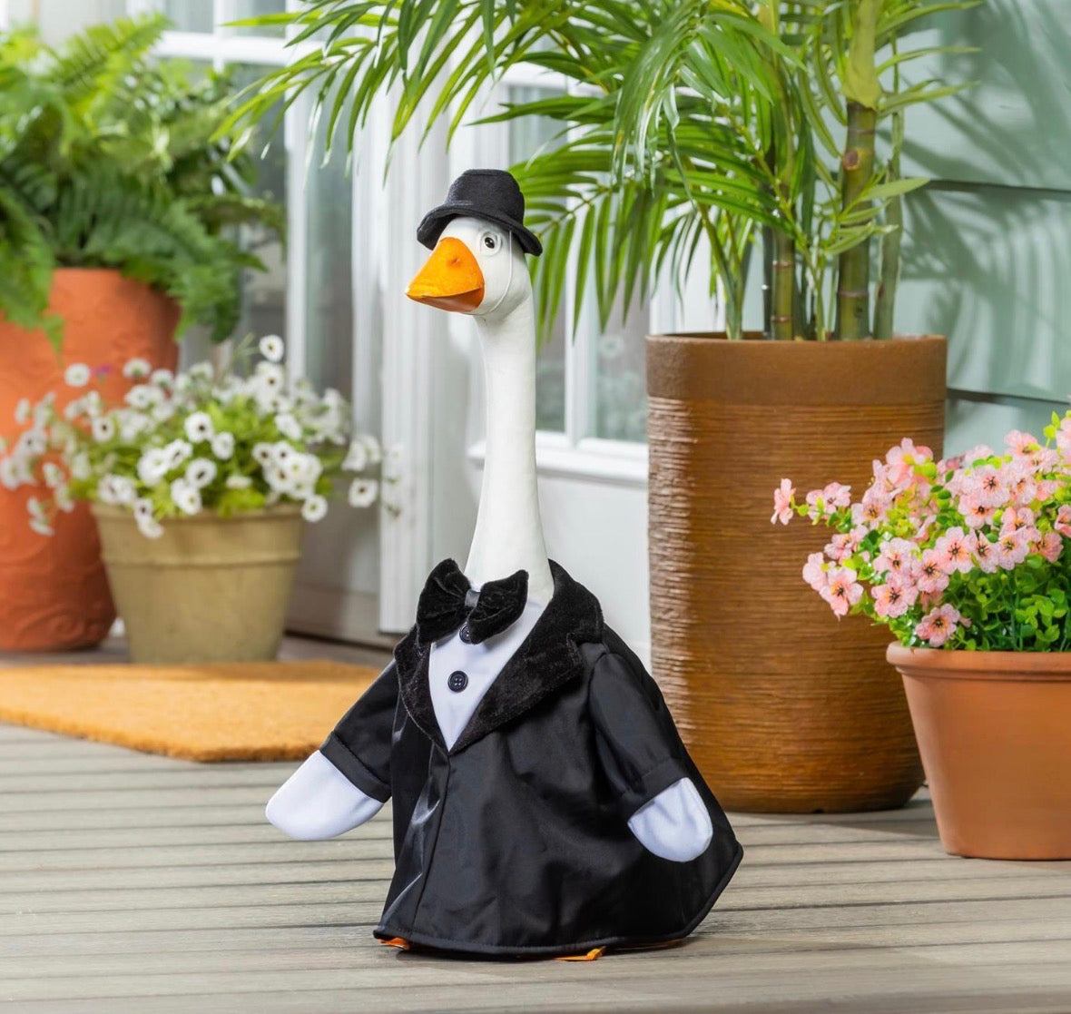 Giddy the Goose Outfit, Groom