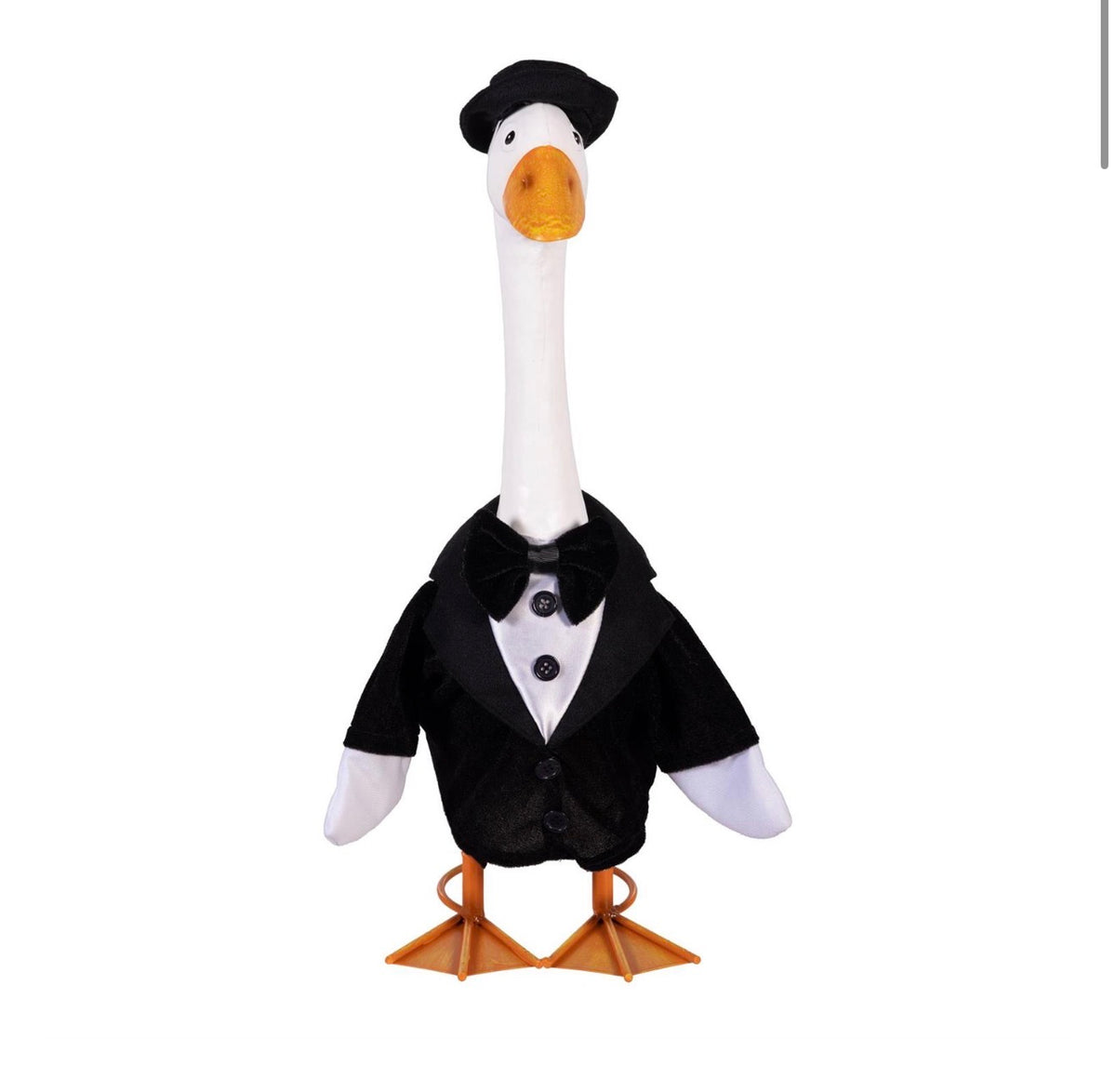 Giddy the Goose Outfit, Groom