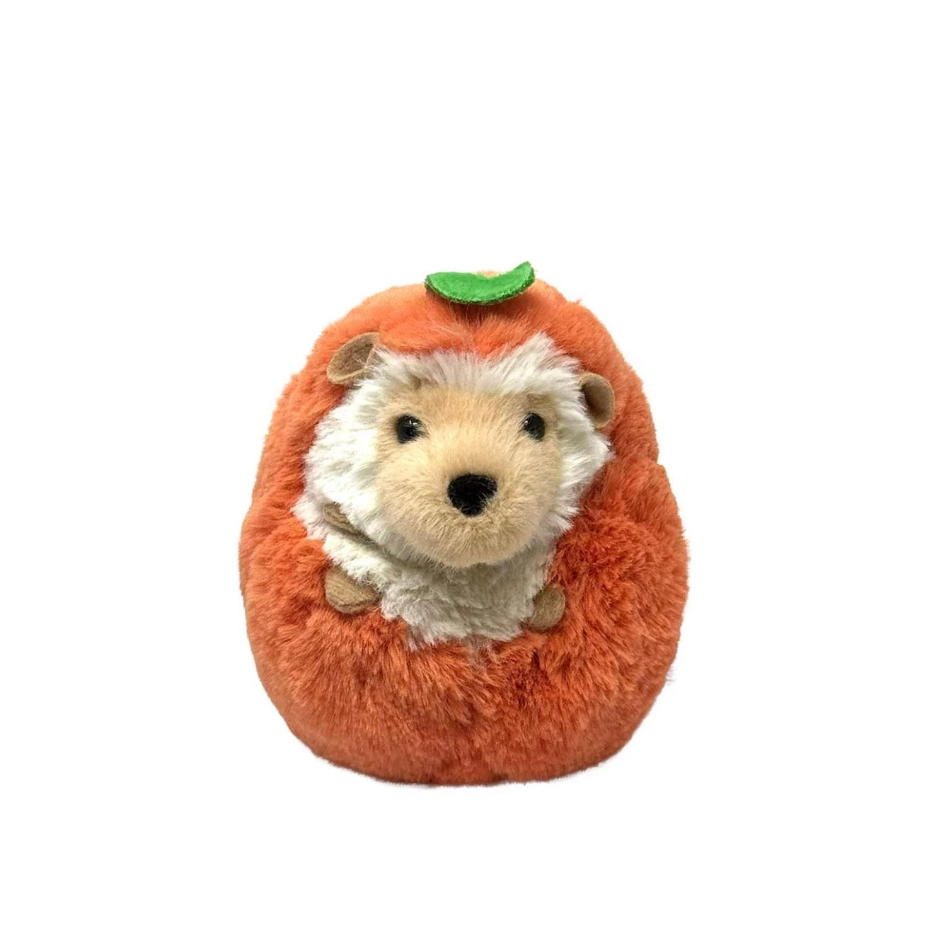 Spunkin Hedgehog by Douglas
