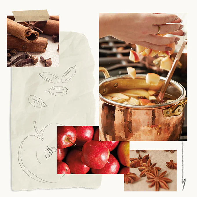 Simmered Cider Foaming Hand Wash by Thymes