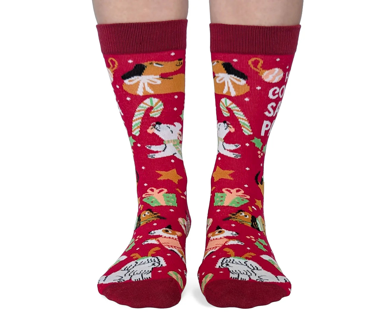 SANTA PAWS SOCKS