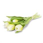 Lifelike 5 Stem Tulip Bunch- White