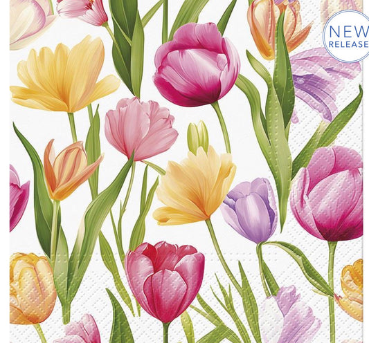 Luncheon Tulip Dream Napkins. 20 Pack