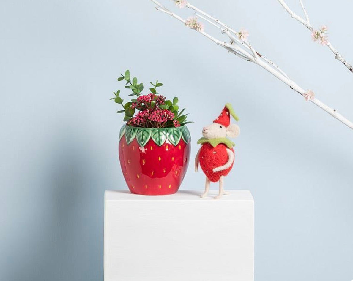 Mouse in Strawberry Costume
