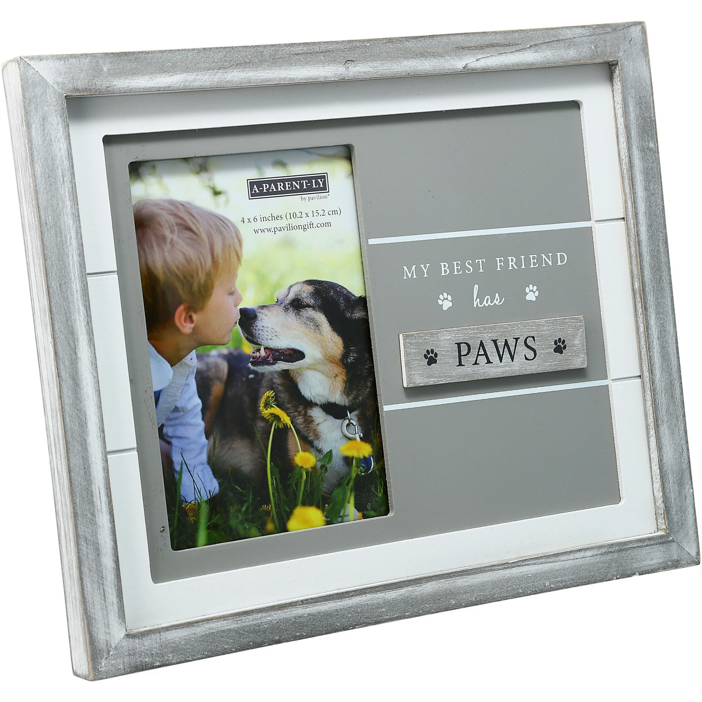 PET 9.75" X 8.25" FRAME (HOLDS 4" X 6" PHOTO)