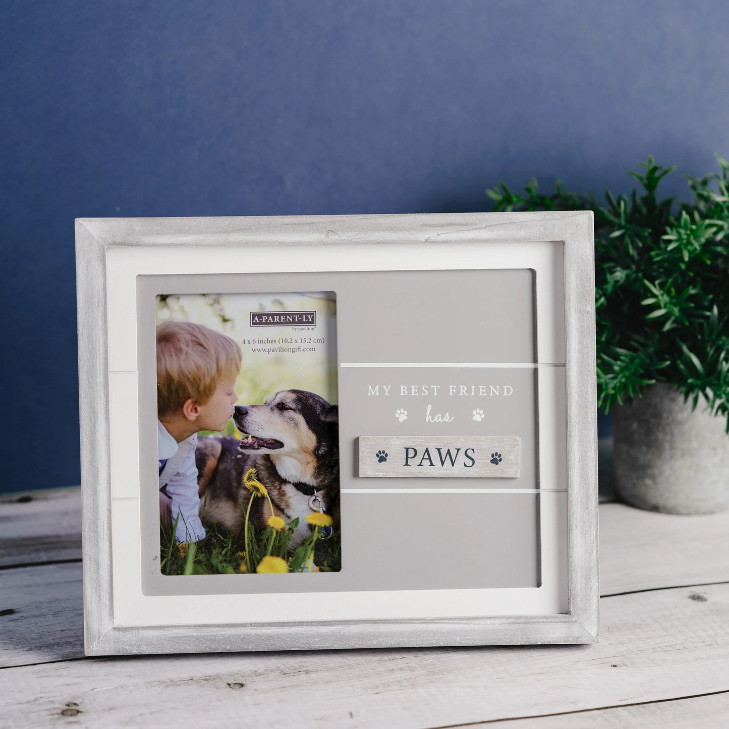 PET 9.75" X 8.25" FRAME (HOLDS 4" X 6" PHOTO)