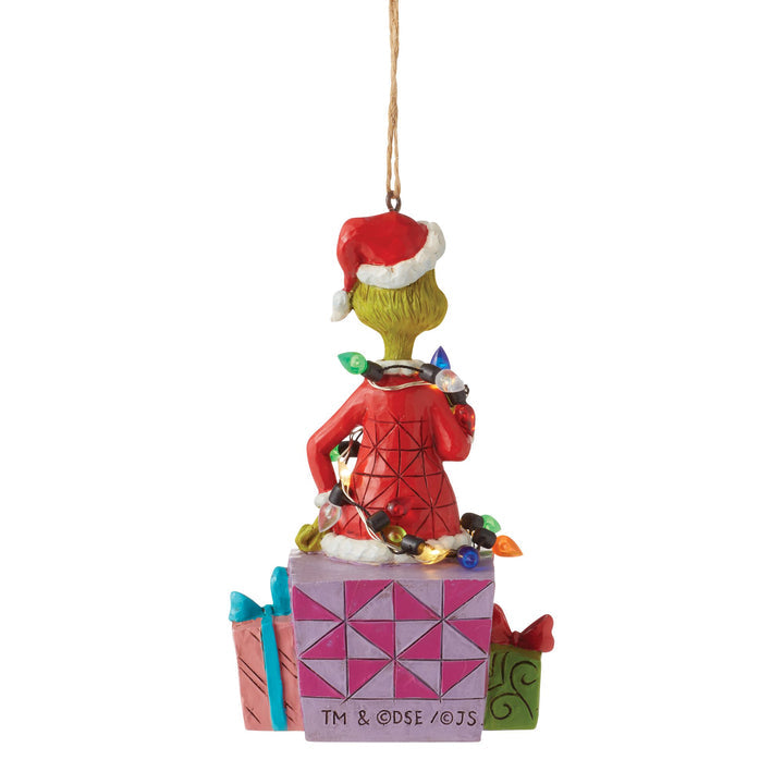 Grinch on Present Ornament
6012709