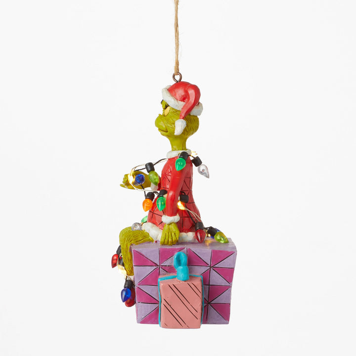 Grinch on Present Ornament
6012709