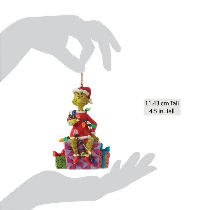 Grinch on Present Ornament
6012709