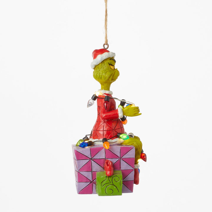 Grinch on Present Ornament
6012709