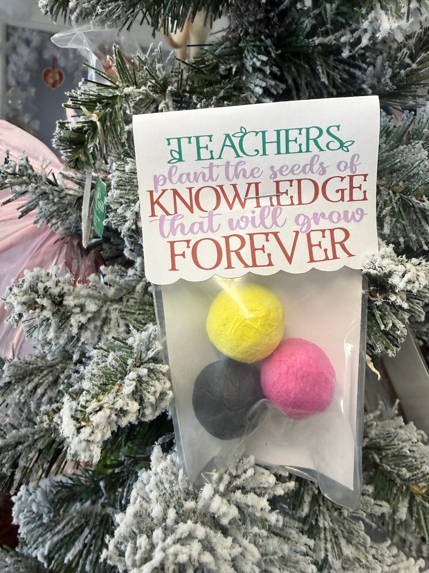 Seed Bombs- Teacher Appreciation Gift to Say Thank You