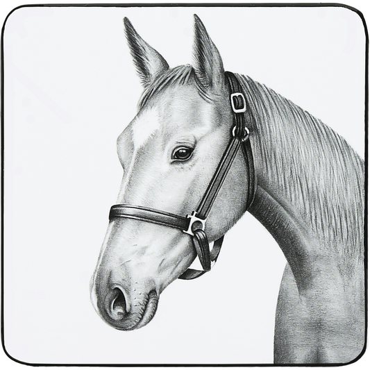 Animal Antics, 4.25" Coasters 4 Assorted (sold individually)
