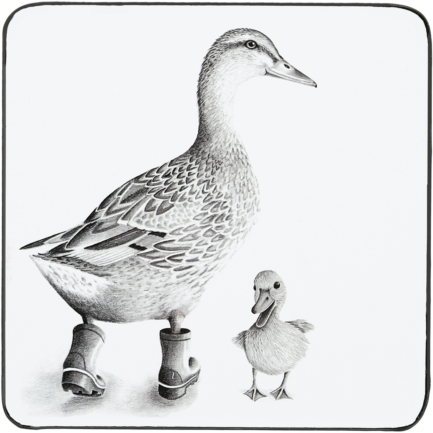 Animal Antics, 4.25" Coasters 4 Assorted (sold individually)