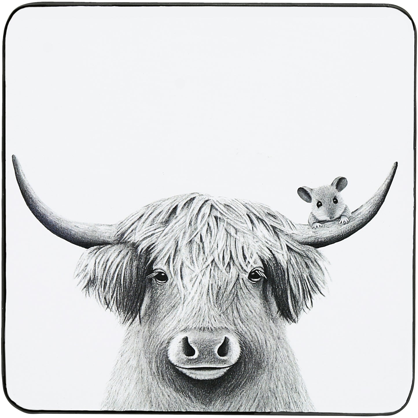 Animal Antics, 4.25" Coasters 4 Assorted (sold individually)