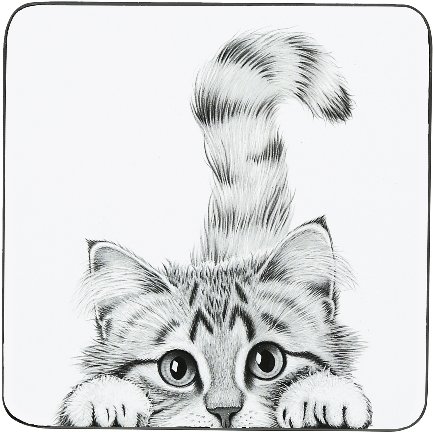 Animal Antics, 4.25" Coasters 4 Assorted (sold individually)