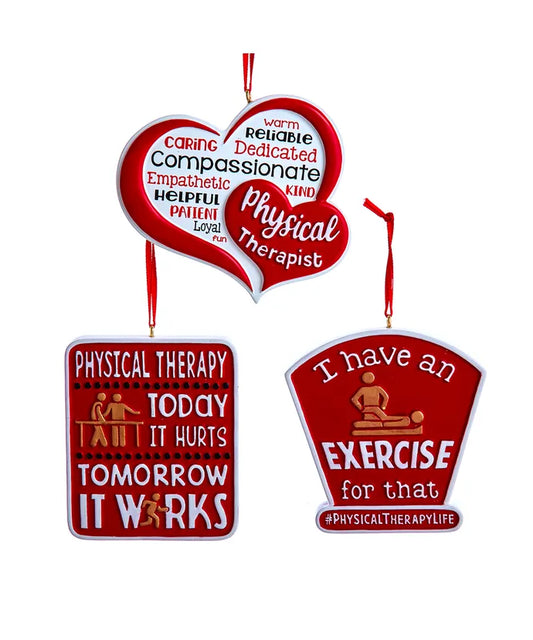 RESIN PHYSICAL THERAPY ORNAMENTS 3 ASSORTED (sold individually)
