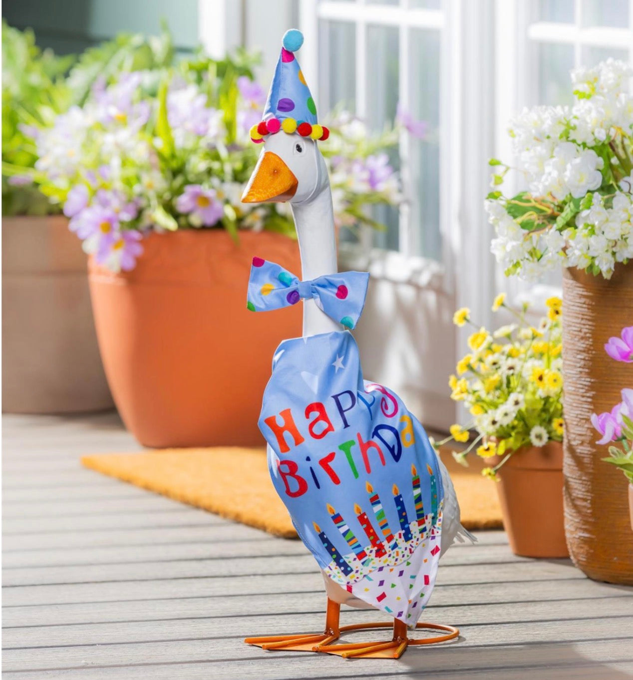 Giddy the Goose Outfit, Birthday Boy