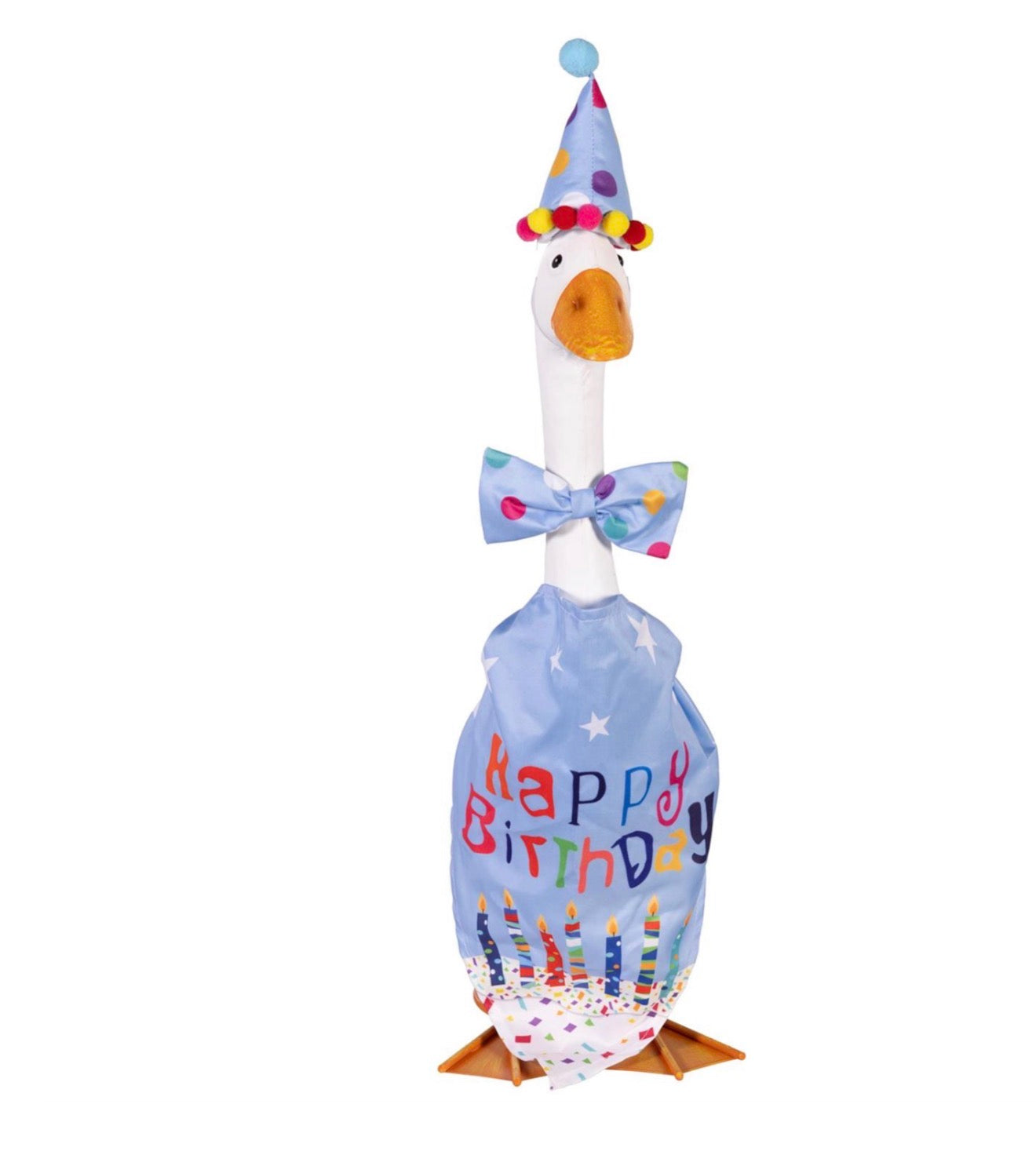 Giddy the Goose Outfit, Birthday Boy