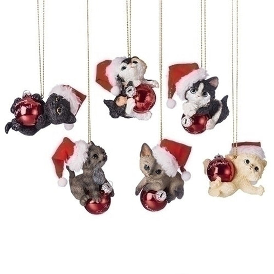 Add some festive feline flair to your holiday decor with our Cat with Santa Hat Ornament. Crafted from resin, these playful cat ornaments are donning red Santa hats, each holding a Christmas ball that says "Merry Christmas". Perfect for cat lovers and those looking to add a touch of Christmas cheer to their home. Available in 6 colours. Sold individually.