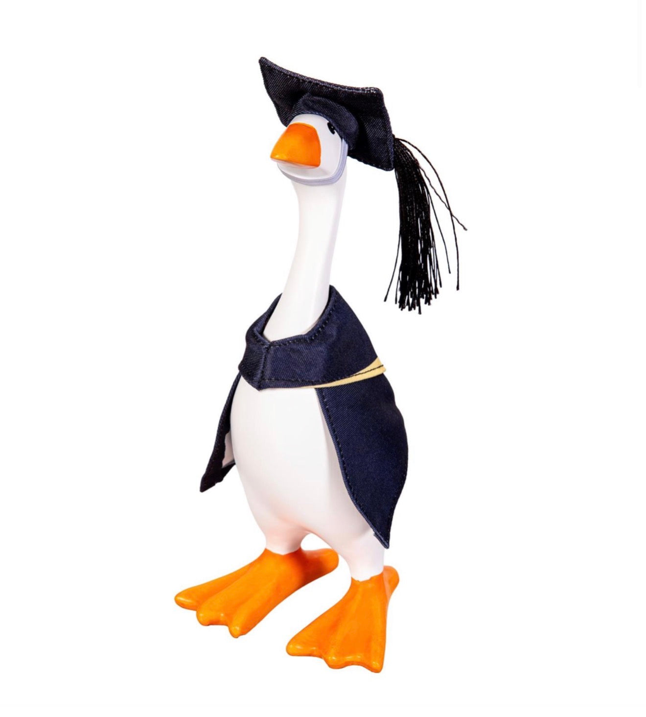 Gordy the Goose Hillside Pasture Table Decor Fabric Accessory Set, Graduation