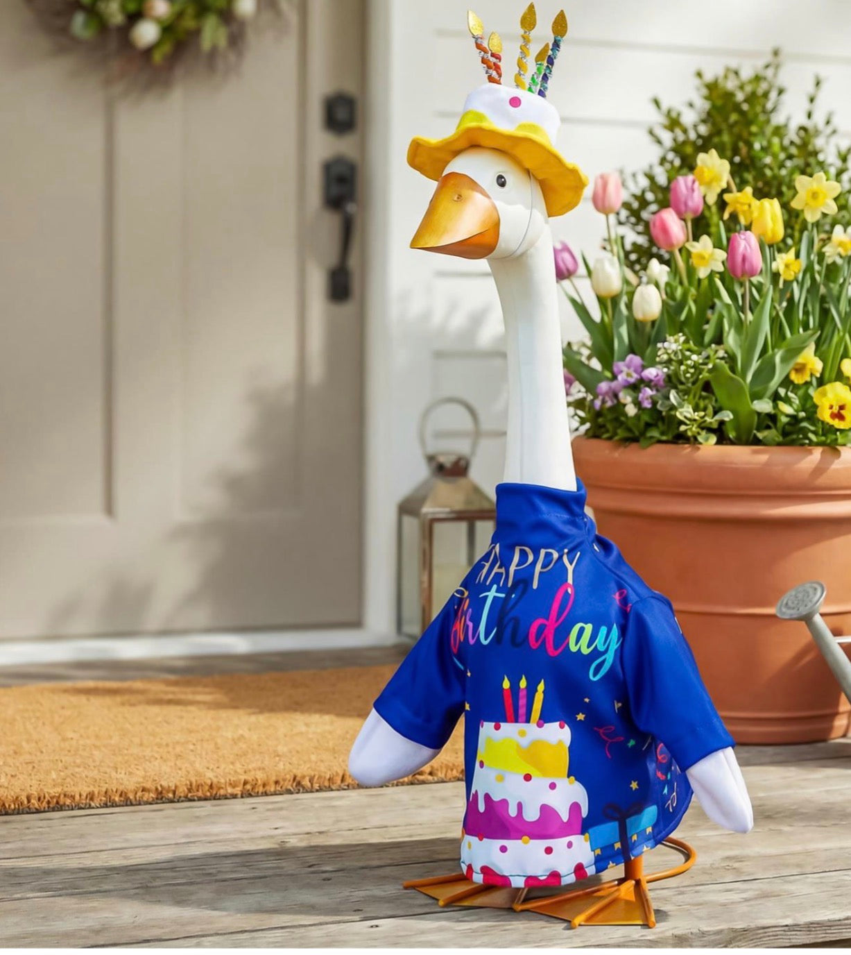 Giddy The Goose Happy Birthday Outfit