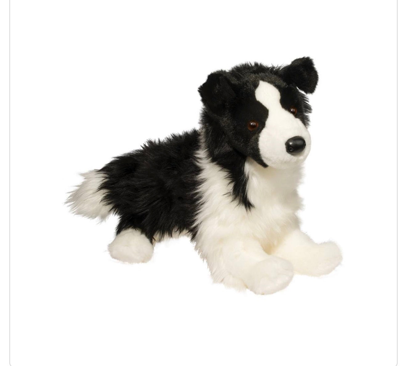 Chase Border Collie by Douglas