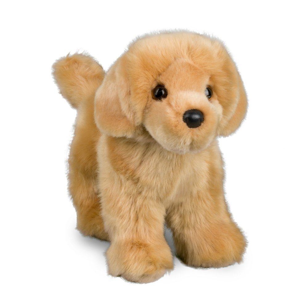 Chap Golden Retriever by Douglas #1724