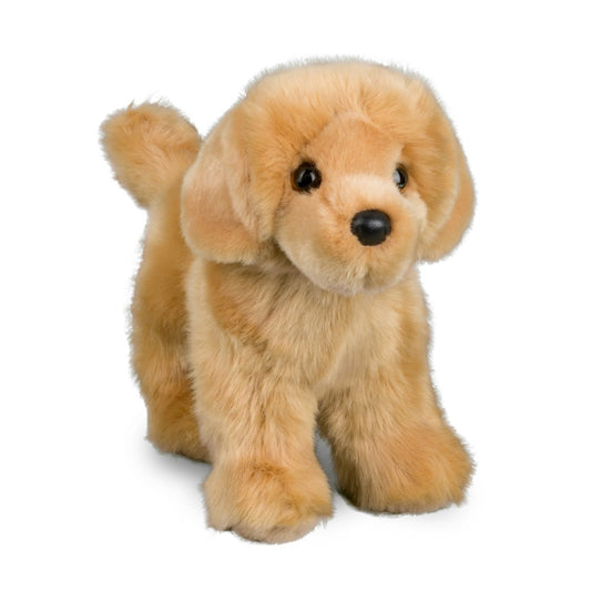 Chap Golden Retriever by Douglas #1724