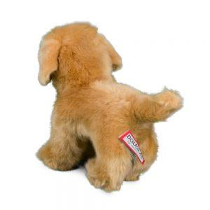 Chap Golden Retriever by Douglas #1724