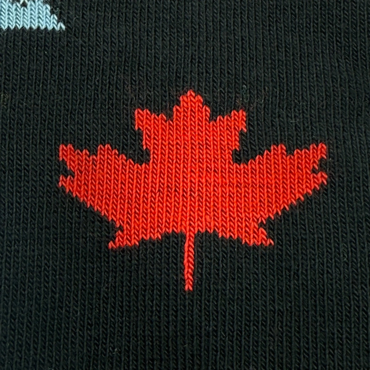 Friday Sock Co. - Kid's Canada Icons Crew Socks - Gender Neutral Gift: Large (Age 8-12)