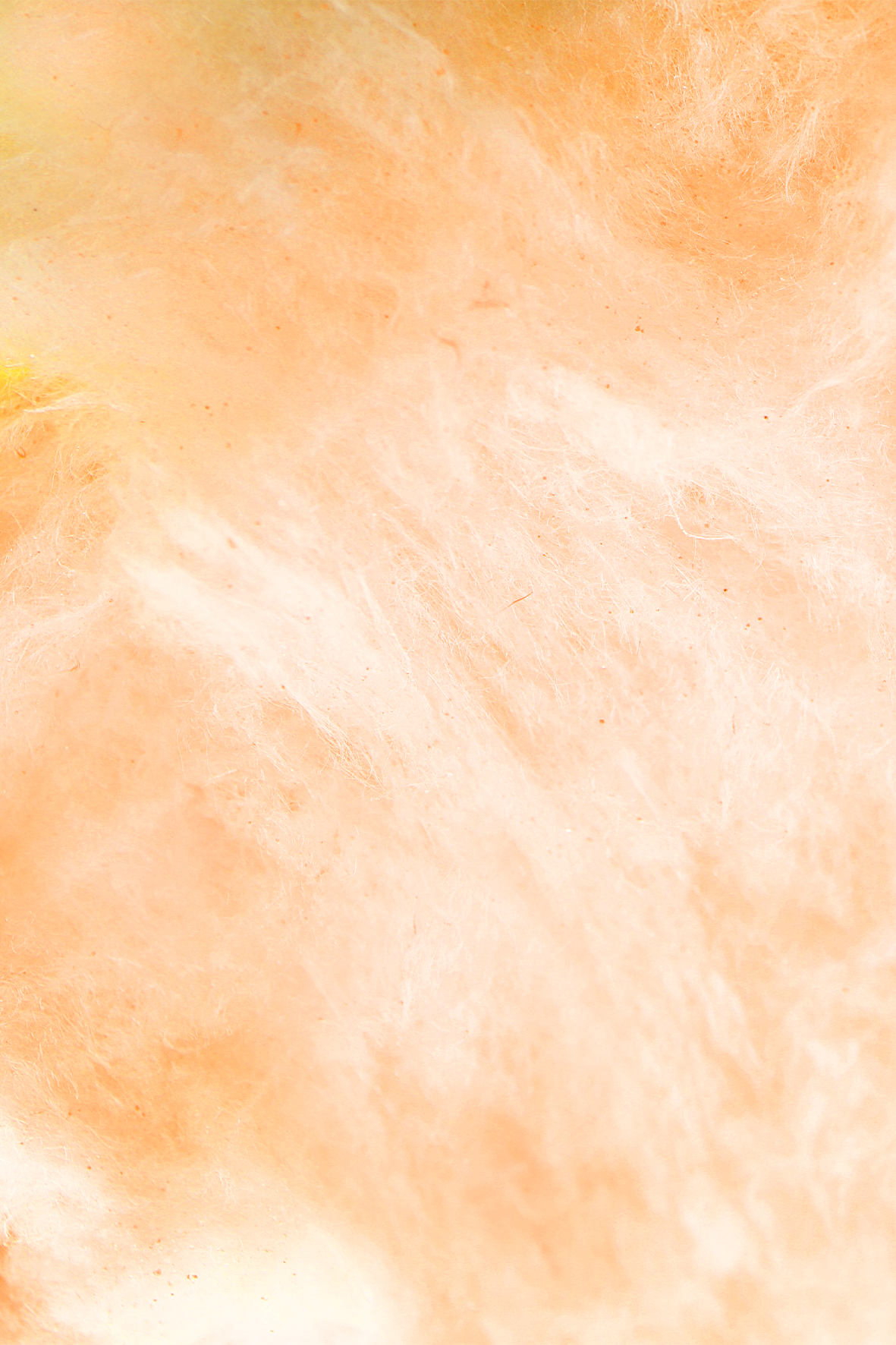 Flossie - Tangerine Cotton Candy