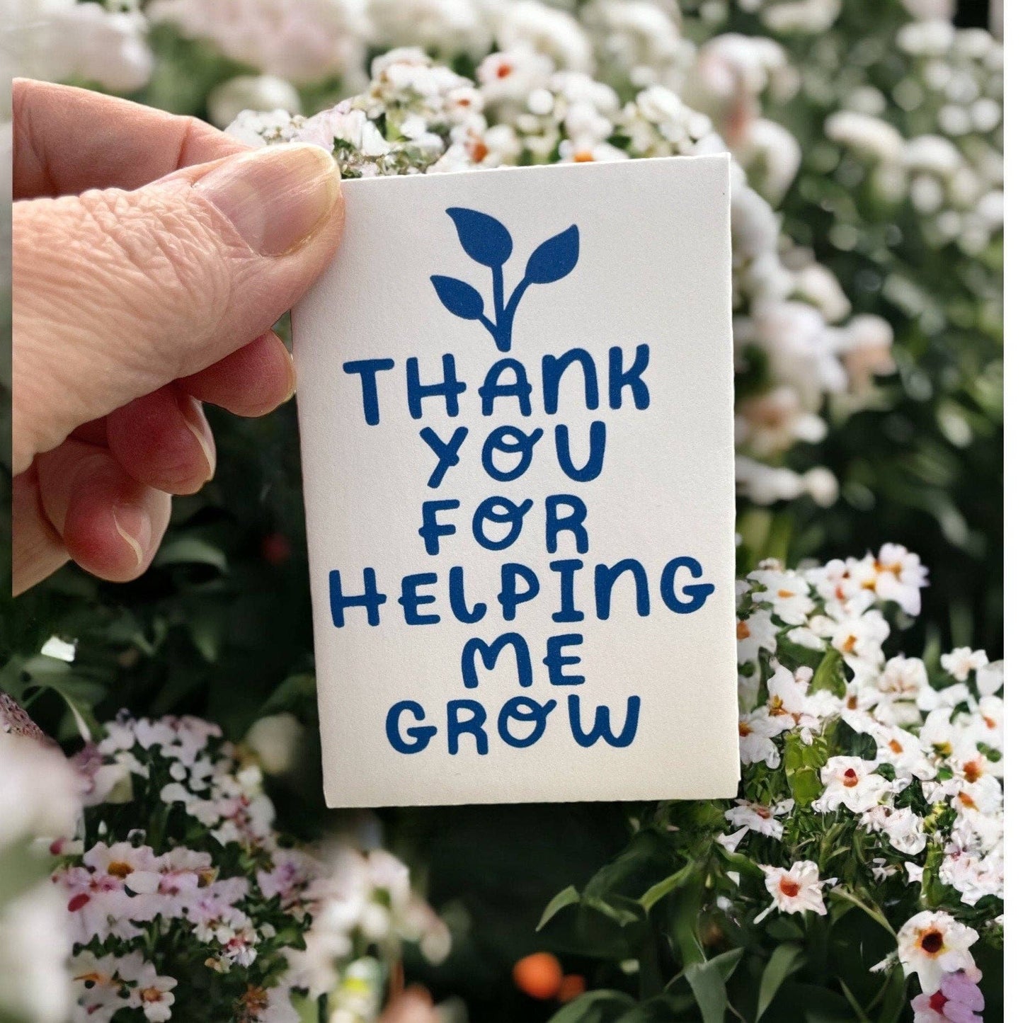Teacher Gift seed package with Wildflowers