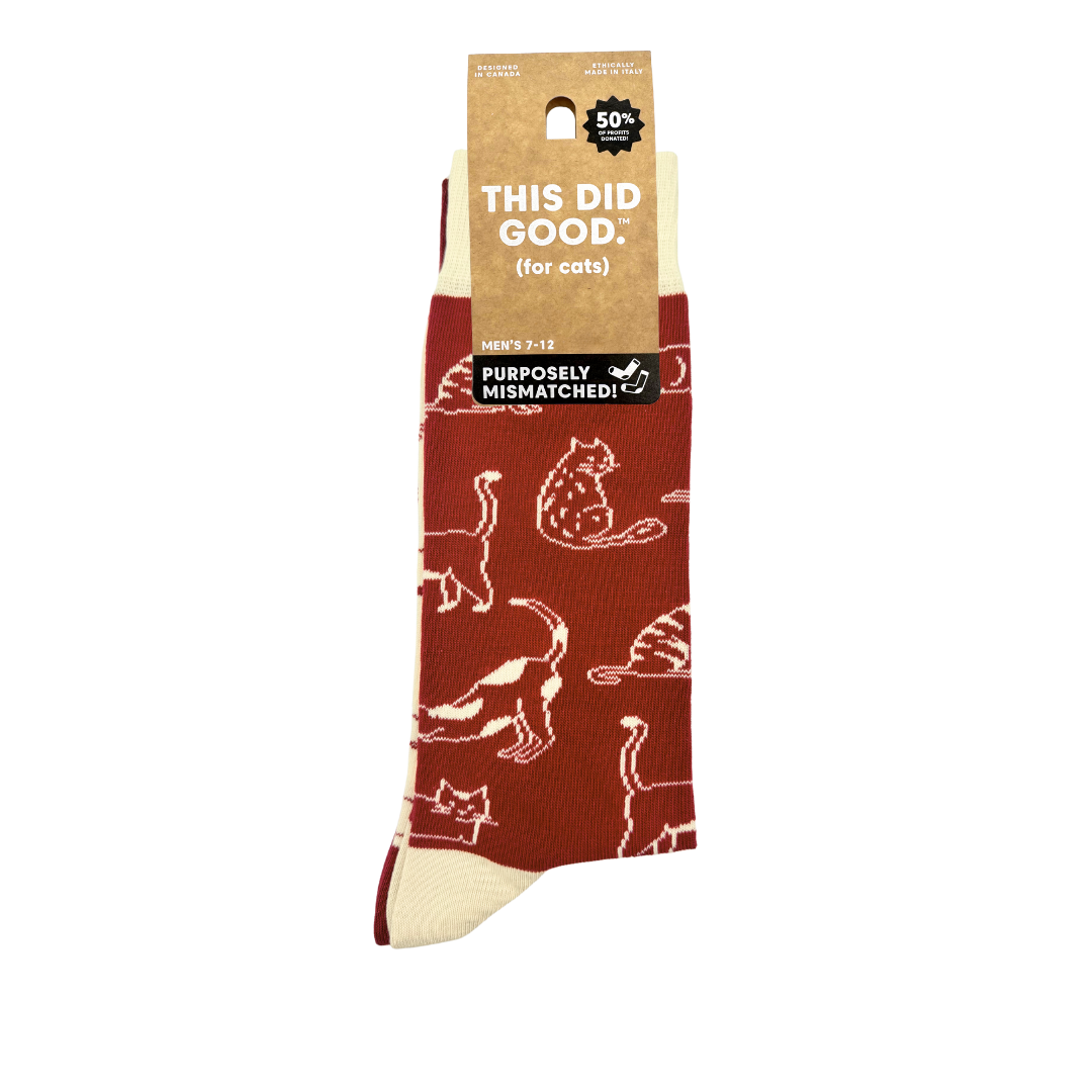 Friday Sock Co. - Men's Cats This Did Good - Novelty Gift for Cat Lovers
