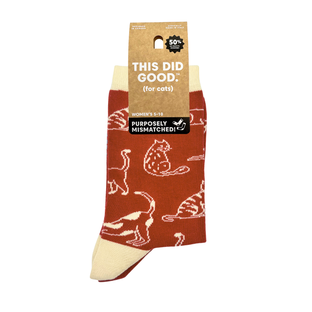 Friday Sock Co. - Women's Cats This Did Good Crew Socks - Cat Lover Gift: Women’s 5 – 10