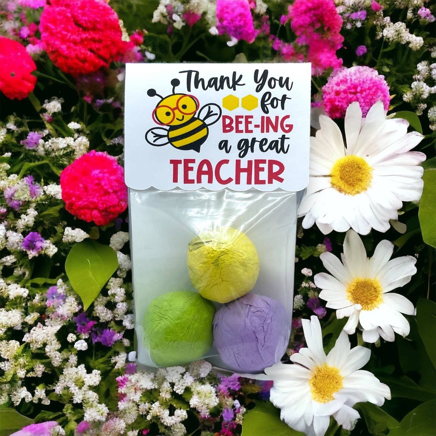 Fuschia Designs Shop - Seed Bombs - Teacher Appreciation Gift to Say Thank You