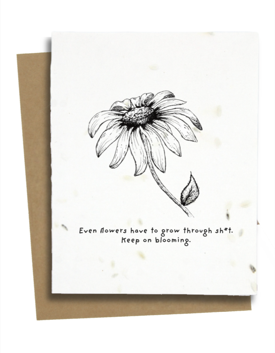Greet n' Grow Plantable Cards - Cute Get Well Soon Cards: Wildflower