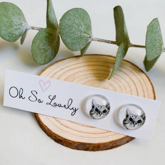 Oh So Lovely - Curious Cat stud earrings