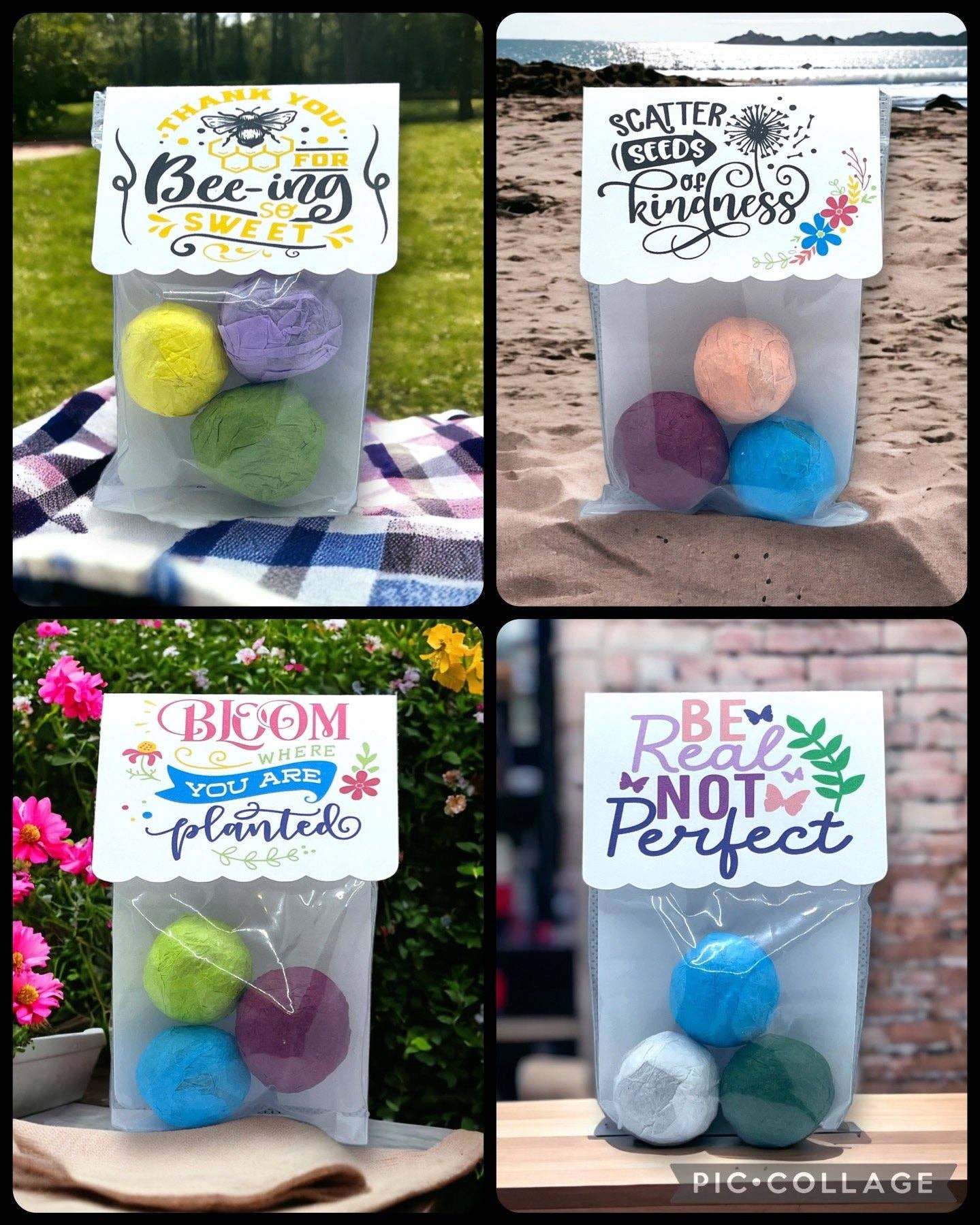 Fuschia Designs Shop - Seed Bombs - Canadian Wildflower - 3 seed bombs /pack