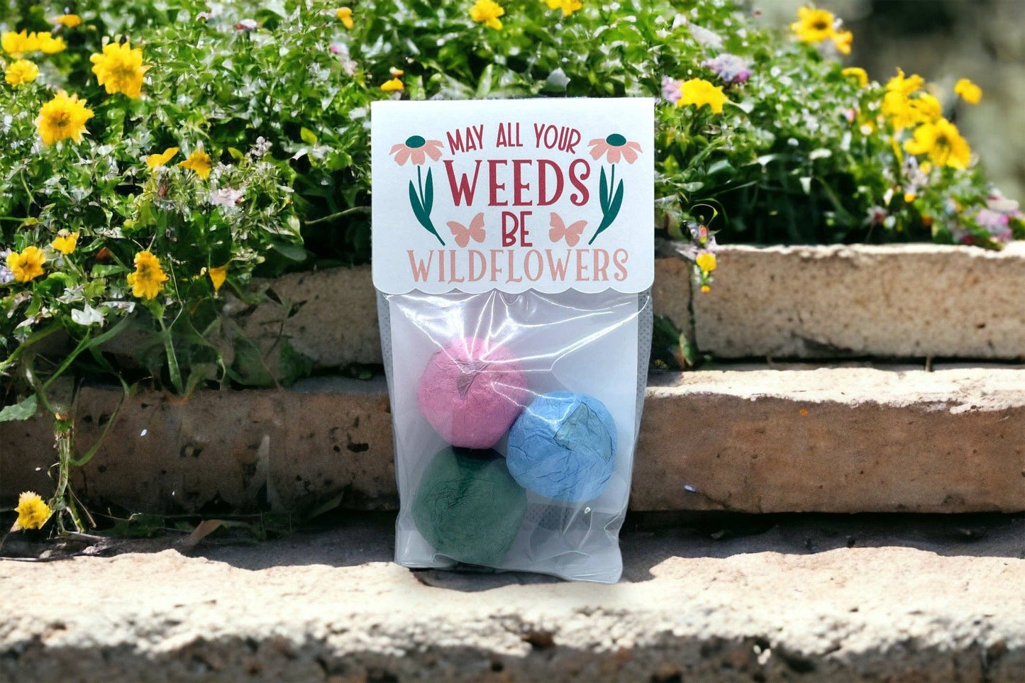 Fuschia Designs Shop - Seed Bombs - Canadian Wildflower - 3 seed bombs /pack