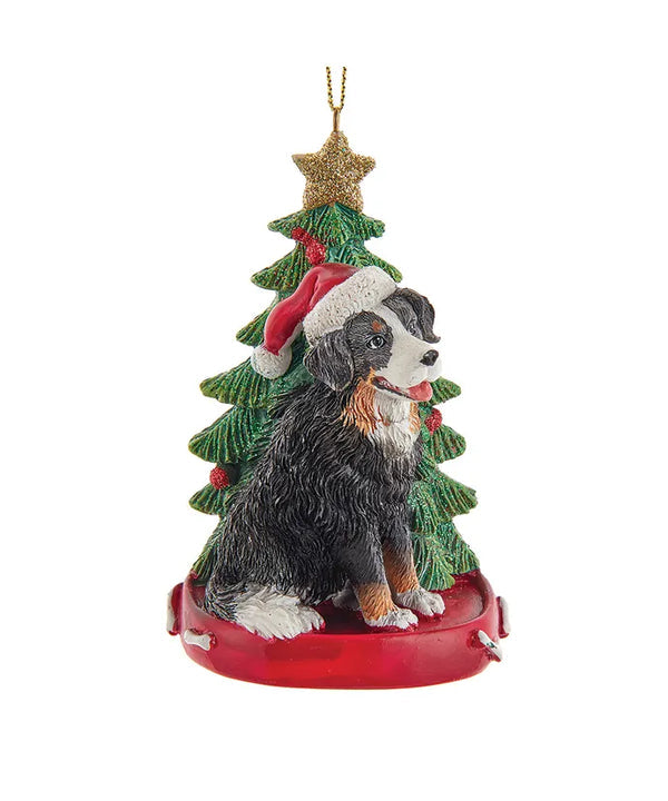 Bernese Mountain Dog with Christmas Tree, 4”, KAC7954