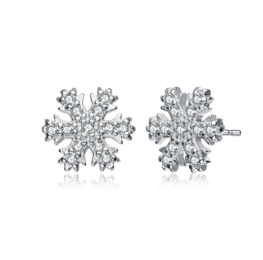 Sterling Silver Cubic Zirconia Earrings(5026)