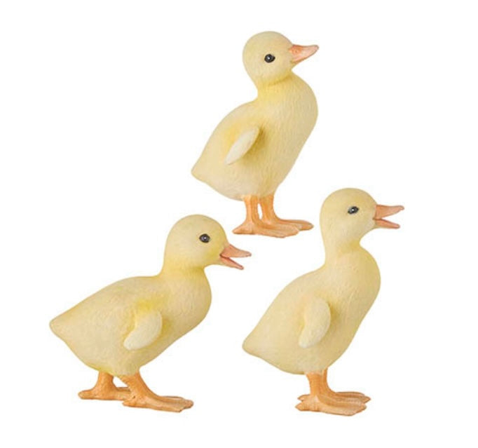 4 Inch Duckling, 3 Assorted