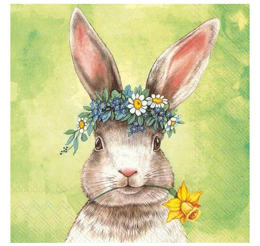 Bunny Paper Napkins by IHR