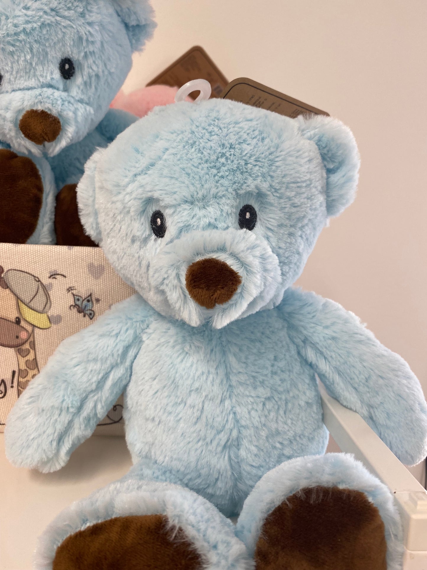 Plush Teddy Bears, Available in Pink and Blue
